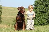 ENFANT ET CHIEN 255